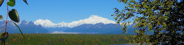 image of Denali Mountains